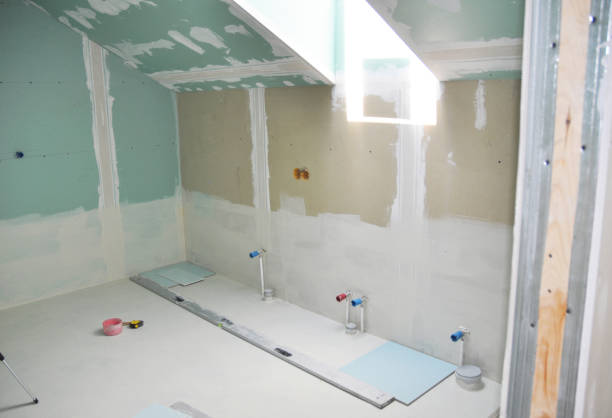 Best Basement Mold Removal  in Chesterfield, SC