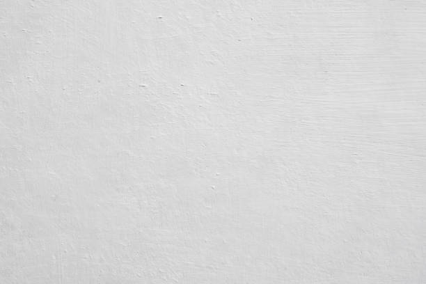 Best Environmental Consulting for Mold Prevention  in Chesterfield, SC