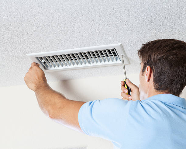 Chesterfield, SC Mold Removal Company