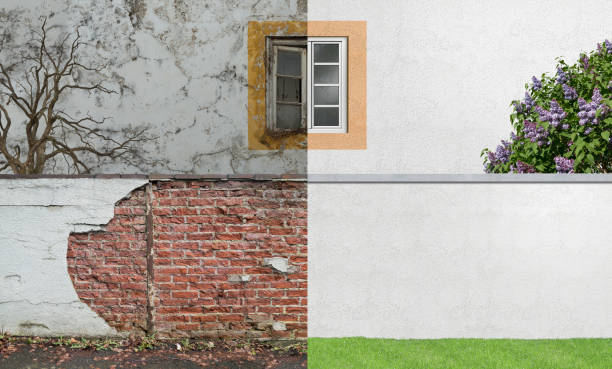 Best Biohazard Mold Removal  in Chesterfield, SC