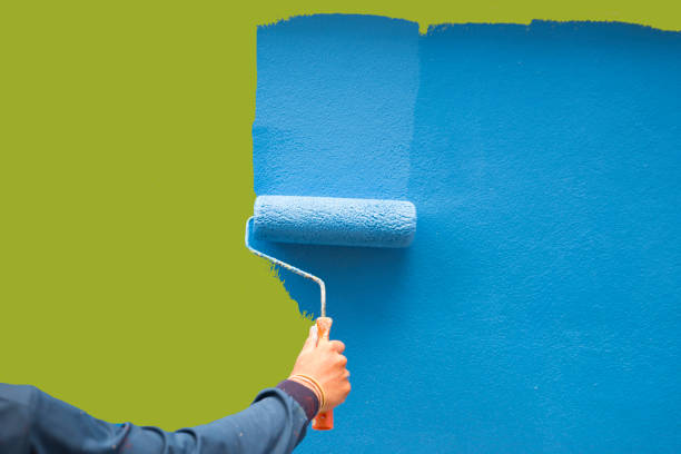 Mold Odor Removal Services in Chesterfield, SC