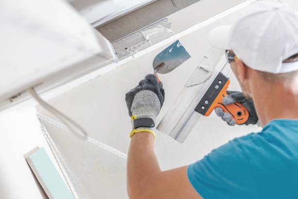Best Water Damage & Mold Remediation  in Chesterfield, SC